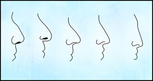 Leia mais sobre o artigo Por que você deve escolher um parceiro de acordo com o formato do nariz?